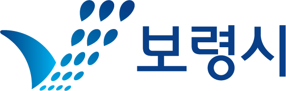 보령시